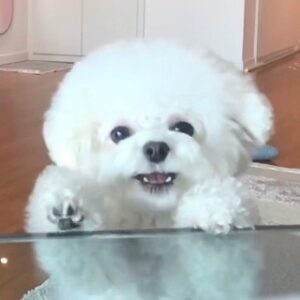 Kang Min-kyung Instagram - 입안에 밥알 두 개 찾았다