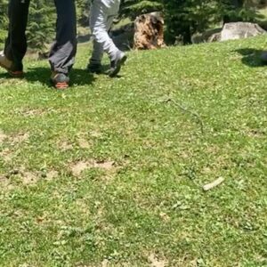 Karthi Instagram - Can’t express the happiness of introducing children to trekking and camping. They surprised us with their strength and resilience. A must do with the little ones. 

Thank you @bikatadventures 

Jinal, Pachu, Nithin and team you guys were fab!

Trekking curator: @wander_woman_dt