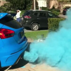 Káss Instagram - It's a boy . . .

#kassnazz #kass #focusrscanada #focusrs #fordperformance #gender #reveal #genderreveal #blue #boy #itsaboy