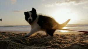 Káss Instagram - On My Brain . . . Everyday

#káss #kass #kassmixx #newmusic #music #musicvideo #beach #sand #summer #spring #holiday #boat #yacht #luxury #resort #sttropez #monaco #southoffrance #spain #chill #chillmusic #bpm #radio #dog #puppy #puppies #drone #love #wifey #Friday