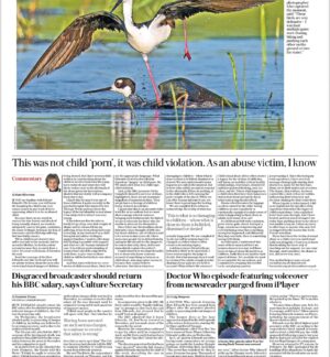 Kate Silverton Instagram - My commentary in the @telegraph today 

On behalf of the children

Thank you all for your kind support and words on here, they have meant a great deal, and I am so glad to know that it is bringing some comfort and release, for those of you who have experienced the same 🙏🏼

More to come on this issue as I hope we can raise awareness and effect positive change for all - and look at how we can embed trauma informed care at every level of our society - whether in the media and reporting cases, the legal system, schools, healthcare and beyond. 

I am always keen to hear from you about ways we may effect change and what this means for you a please do leave any thoughts in the comments or DM 

Then it’s back to parenting and responding to all your other messages asking for support and thoughts as we continue to navigate the summer holidays ! X 

#abuse #trauma #traumahealing #traumainformed 

@nspcc_official l @beaconhouseteam @mindcharity @the.greenhousebristol @one_in_four_uk
