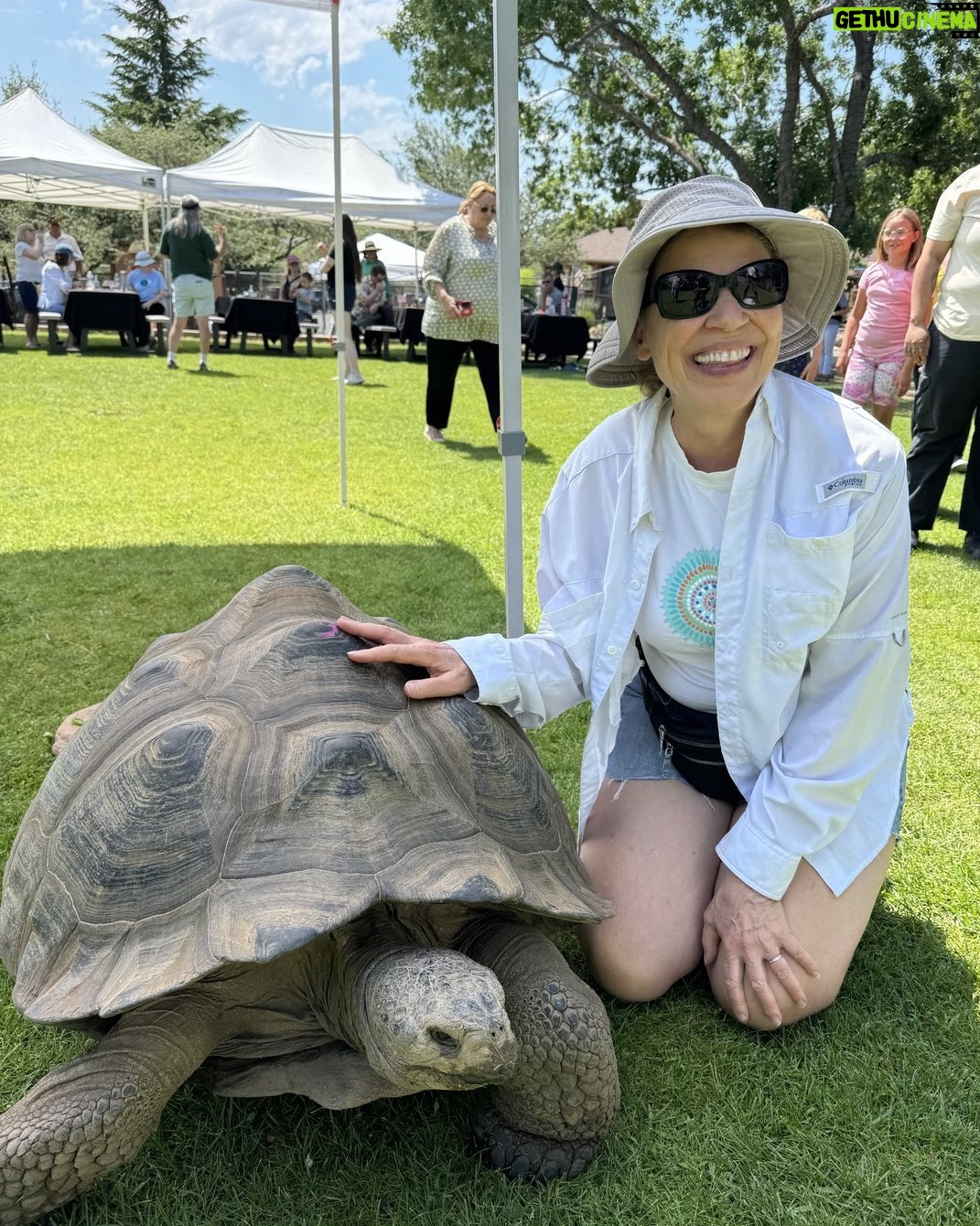 Kathleen Gati - 638 Likes - I raised turtles for many years and they are one of my huge passions that many of you know about! Such a wonderful experience being this close to a magnificent tortoise! #Joy #turtles #tortoises #zoo #love