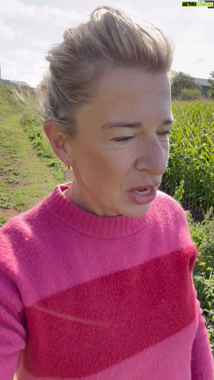 Katie Hopkins - 27.6K Likes - Advice for #jermaine from an old bird