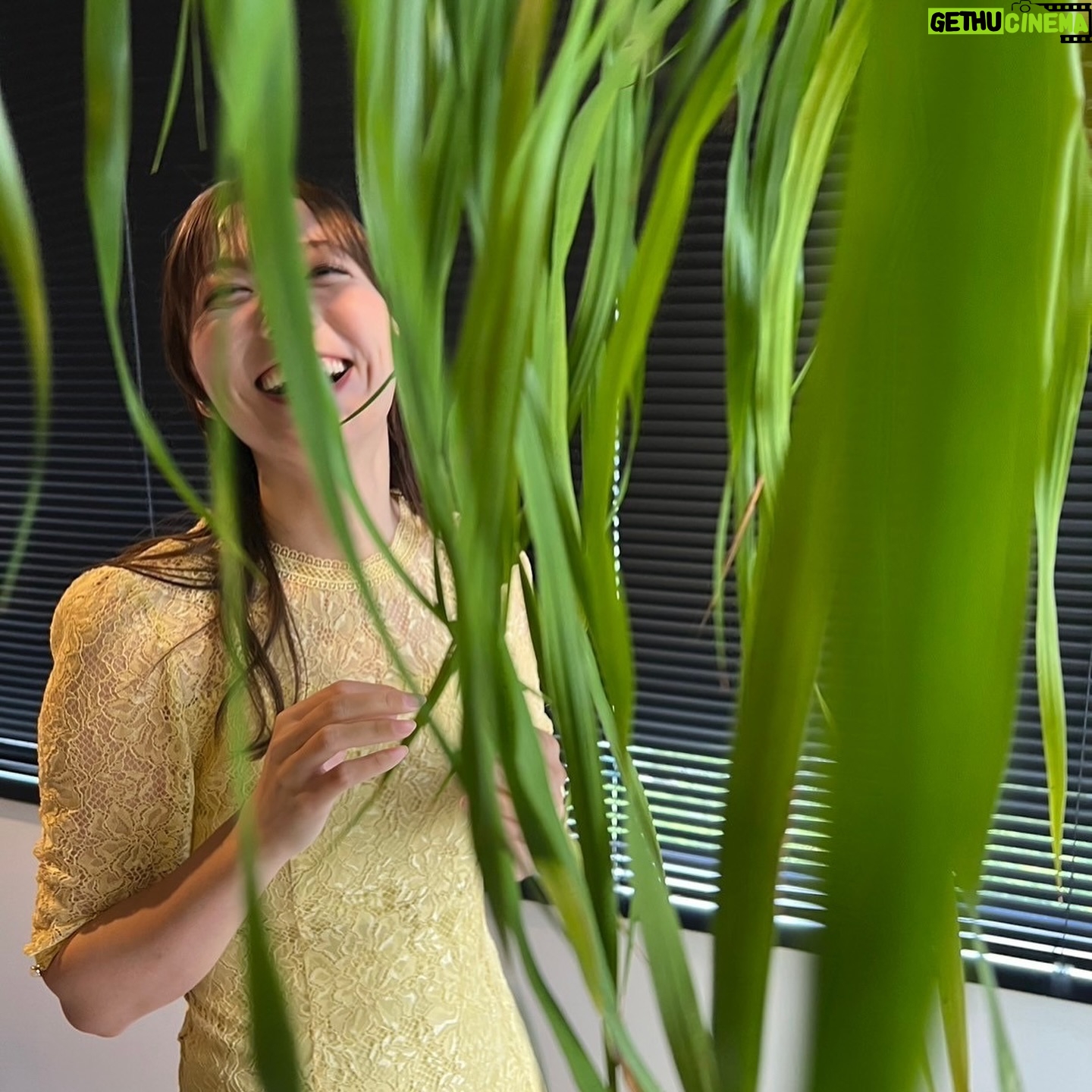 Kayako Abe - 23.5K Likes - ♪
暑いけど
楽しくお仕事できてしあわせ!
暑いけど🫠🫠
#セントフォース
