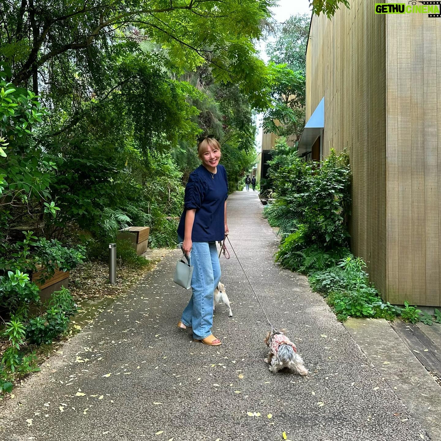 Kayo Noro - 17.6K Likes - 幸せなひと時🐶🐶🌲🍽️☕️
・
私服🙋🏻♀️
tops #noticecolors
denim #levis
・
・
・
Notibe//colors というお洋服ブランドをやらせていただいてます。M size〜3L sizeまであります♡
私が着てるのはL sizeです♡
・
QVCというサイト.アプリで購入できますので宜しかったら是非♡
『ノーティスカラーズ』で検索していただいてもすぐ出てきます♪
