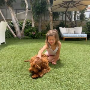 Actress Kelly Noonan HD Instagram Photos and Wallpapers August 2024