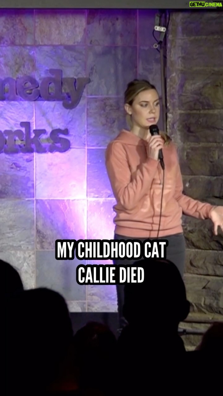 Kelsey Cook - 47.9K Likes - Happy #InternationalCatDay AKA an excuse to post my old cat joke day 🐈 #standupcomedy #reels #comedy #cats