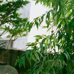 Ken Instagram - .
KEN Gift Album [Consolation & Love]

[Pre-Order] 
▶️ bit.ly/KEN_KiTalbum

💝2024.08.23 8AM (KST)

@keken_0406
#KEN #켄 #Consolation_n_Love 
#이재환 #LeeJaeHwan
#S27M #에스이십칠엠