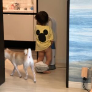 Kenji Yamauchi Instagram - 。
閲覧注意⚠️

2枚目にショッキングな画像が含まれてます。😂😂😂

暑過ぎて涼みたかったんやろうけど、、、

昔の扇風機なら死んでるぞ😂😂😂😂😂

現代っ子ですなぁ🛀

昔の扇風機の怖さを知らない世代ですなぁ😂

私は実家の壁につけてあった首振りの扇風機が大好きでした

首振りに合わせて夏とか風呂上がり自分も動いてたなぁ🛀

基本扇風機で乗り切る世代やったなぁ☀️

そんな私のTシャツはold stussyのシャドーマン🖐️

old ◯◯って言い方するよね😂最近はold ユニクロもネクストビンテージで集めてる人いると聞いてます😳

#ヴィンテージ
#ヴィンテージTシャツ
#vintage
#vintagetee
#vintagetshirt 
#stussy
#oldstussy
#かまいたち山内