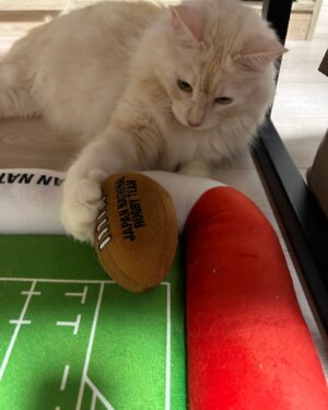 Kenki Fukuoka Instagram - 日本代表のトライが見たいチャド君からのリクエスト🏉
左端だからジョネかマノかな🤔笑