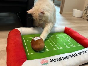 Kenki Fukuoka Instagram - 今日で31歳になりました！
日本代表を引退して4年が経ったことを考えるとすごく早かったように感じます。
W杯は人生の節目となる素晴らしい大会、今回の選手達にとっても記憶に残るものになりますように。
