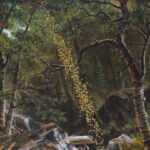 Kent Monkman