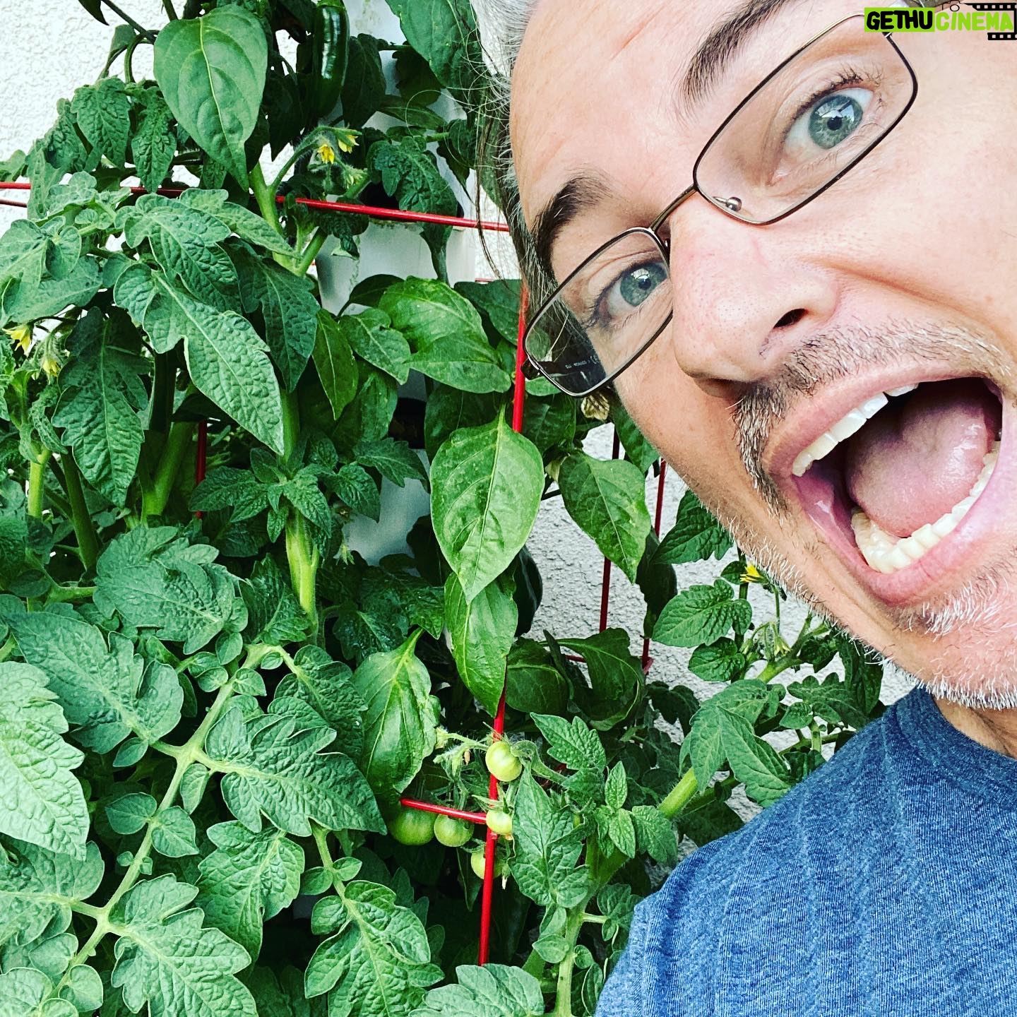 Kerr Smith - 3.2K Likes - Try growing your own food at home! It’s amazing to bring something from seed to your own plate. #gratitude #kisstheground
