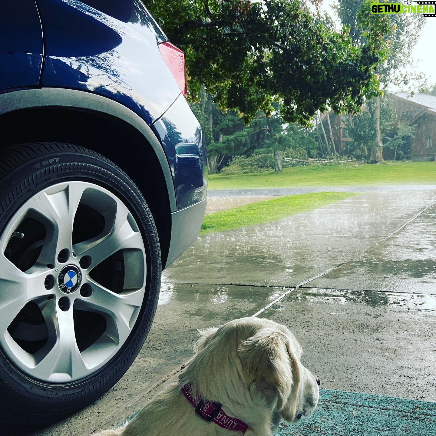 Kerr Smith - 3K Likes - Love sitting in the garage when it rains. Great or ghetto? 🤔 #rain #parkcity #goldenretriever