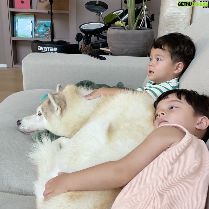 Kevin Dockry - 4.4K Likes - Sometimes they all get along and when they do, it’s cuteness overload.