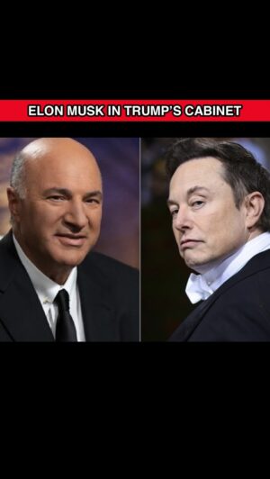Kevin O'Leary Instagram - Elon Musk is like a modern-day Bruce Wayne—no BS, completely transparent, and knows how to get things done. You might not like his communication style, but you can’t argue with his results.

If we had more leaders like Elon in government, we wouldn’t be as divided, and this country would be in a much better place.
