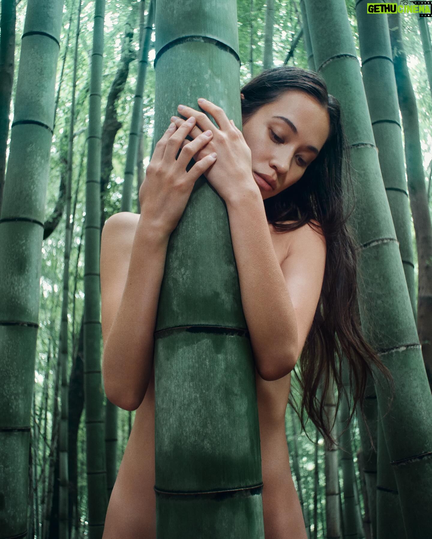 Kiko Mizuhara - 161.7K Likes - 竹水フェイスミスト✧ Bamboo Water Face Mist
Available now for Pre-order ✶ 限定予約販売開始。
自然の恵み、竹水🎋
竹水とは、竹が成長する際に地中から地下茎を通して吸い上げた水のことであり、4月から5月にしか採取できません。また、水を吸い上げてから、わずか20日間ほどしか幹に溜め込まないため、とても貴重な水として知られています。
現在、日本の竹林のほとんどは、自生したものではなく、我々人間の手によって植栽されたもの。 しかしながら、後継者問題や管理不足によって竹林は荒れ、雑草のように増殖している状況も散見されています。竹の繁殖力は非常に強いため、広葉樹林を浸食しているのです。
kiiksでは、各地の竹害も考慮し桑名市の桑名竹取物語事業化協議会と協力して、その対策にも取り組んでいます。
竹水には豊富なポリフェノールが含まれており、ビタミンB群、高い保湿効果や肌の弾力性を保つ豊富なアミノ酸。そして、竹に多く含まれるシリカ(ケイ素)が肌の内側から潤いをもたらします。
美容、そして竹害問題の観点から生まれた竹水フェイスミストが皆さまに幸せをもたらしますように❤️
Photo : @alexleese
Make up : @sakiemiura