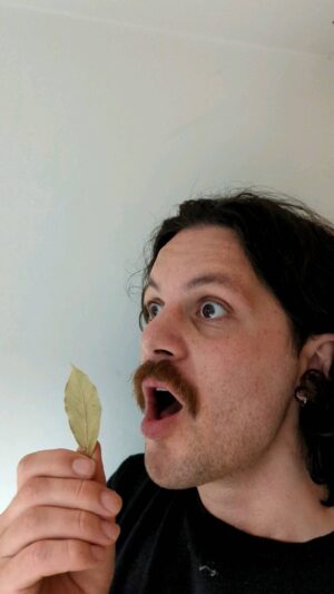 Killian Sundermann Instagram - There's something of the emporer's new clothes about the bay leaves