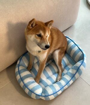 Kim Hyeon-jae Instagram - 