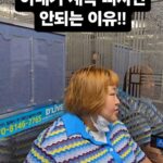 Kim Min-gi