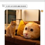 Kim Min-su