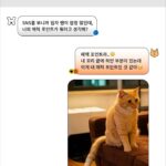Kim Min-su