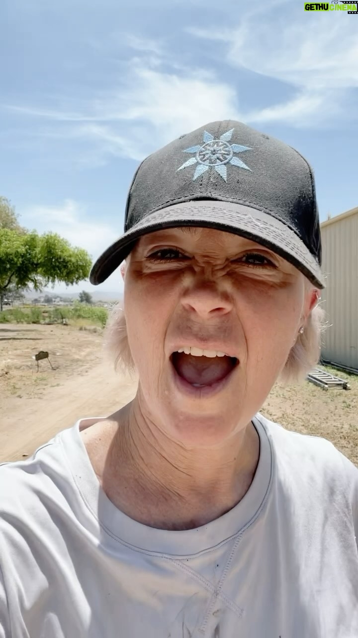 Kim Rhodes - 7.5K Likes - THE RAGE IN ME!! And also… wook at de widdle bebeeeeeez!😍😍😍😍
But also. Rage. @stat.savetheanimalstoday