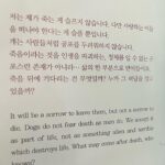 Kim Seo-hyung