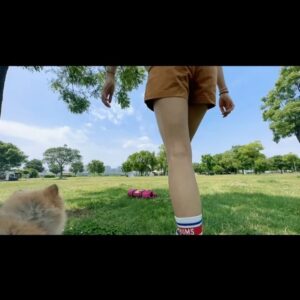 Kim So-ra Instagram - •
내집마련🏕️
마루랑 캠크닉💕

#캠크닉 #camp #picnic