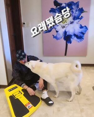 Kim Won-hyo Instagram - 명절 먹은거 보고 충격!!!
역대급 몸무게를 찍고 #오늘부터다이어트 돌입
혜선이가 준 스텔스플랭크로 마무의리하고 나가려는데
이거~이거~이거이거이거~~ 
잼나지만 힘듦!!!
나이 들수록 살이 안빠진다는 생각말고
#매운완 해야겠다!
@stealthfitness_k 
#스텔스플랭크 #스텔스 #전신운동 #코어운동 #플랭크챌린지