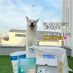 Kim Won-hyo