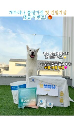 Kim Won-hyo Instagram - 여러분은 언제 필요할 것 같으세요….?😎 후기 전해줄 풍덩 체험단 모집 합니다🩵 풍덩님들의 사용처를 알려주세요!!!
_내일 공구 오픈과 동시에 10분 보내드릴게요🫶🏻 (개부러나 5명, 비치타월 5명)
⠀
Event) 댓글로 써보고 싶은 제품을 골라주세요! 중복 참여 가능🌟
ex1) 개부러나요!!!!! 우리 강아지 수영 갈 때 꼭 필요해요!!!🐶
ex2) 비치타월이요 !!!! 골프/수영/여행 갈 때 꼭 챙겨가고 싶어요!!!!✈️🧳
⠀
☺️☺️☺️
여러분,, 이번에도 또 기똥템으로 풍덩마켓에 처음으로 보여드리게 됐는데요…💛 부러나 공식 공구는 처음…..✨
⠀
개부러나는 실제로 개그맨 김원효님께서 반려견 태풍이를 키우면서 진짜! 필요해서 만들어진 첫 제품이에요🙈
⠀
제품을 받아보자마자 이건 사람이든 동물이든 찐 요물템이다!!!
싶어서 바로 풍덩님들께 첫 런칭을 보여드리기로…..✨✨✨
⠀
저는 특히 풍이가 물놀이를 너무 좋아해서 개부러나 런칭 소식을 듣자마자 너무 반가웠어요ㅎㅎ 장마철에도 완전 굿템…❤️ (아마 중•대형견 친구들은 특히 반가운 제품일거에요!🔥😎)
⠀
그럼 오늘밤 12시 첫 런칭에 만나요✋🏻
6/20 밤 12시 개부러나 풍덩마켓 첫 런칭 오픈 예정🚀
⠀
#댓글이벤트
#체험단모집
#풍덩마켓
#부러나
#첫런칭예고 💛
⠀
⠀
⠀
⠀
⠀
⠀