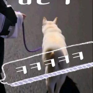 Kim Won-hyo Instagram - #밤산책 
술 마시고 동네 2바퀴는 좀 힘들지...ㅠ
태풍아 미안해~^^~