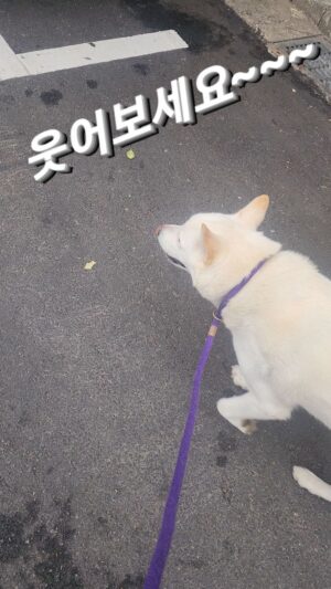 Kim Won-hyo Instagram - #내이름은김태풍 
오늘도 웃어보세요~~~