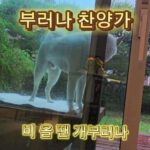 Kim Won-hyo