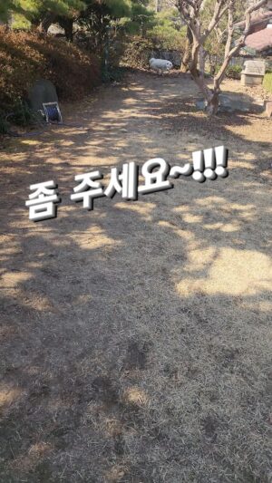 Kim Won-hyo Instagram - #내이름은김태풍