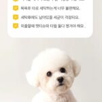 Kim Won-hyo