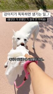 Kim Won-hyo Top 100 Instagram Photos and Posts