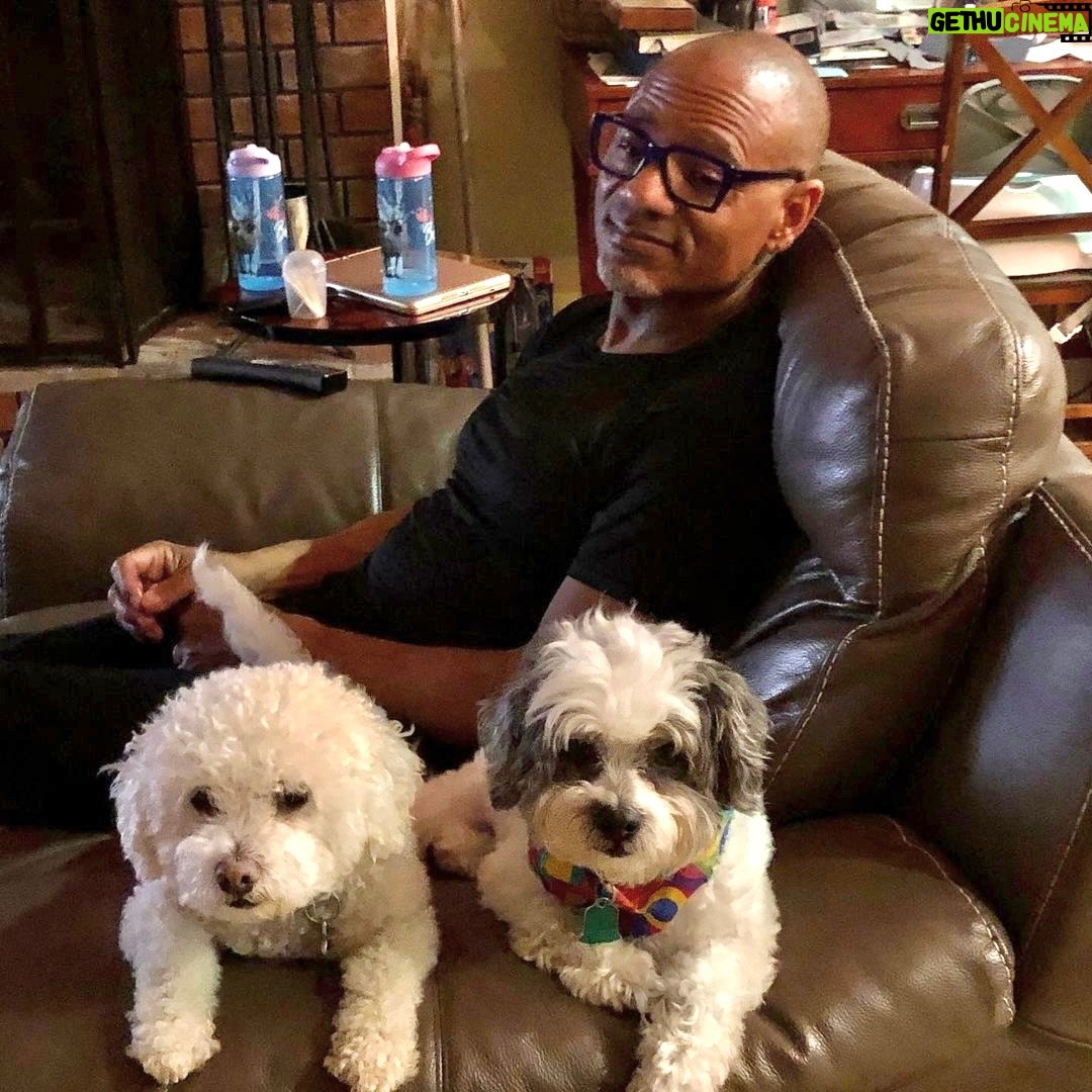 Kirk Whalum - 443 Likes - On National Love Your Pet Day, remember, we're not their owners; we're their personal chefs, pillow fluffers, and door openers. It's a tough job, but someone's gotta do it 🐾 #LoveYourPetDay #DogBoss
#KirkWhalum #Humanité #CrosstownArts #SessionBandApp #KafeKirk #JazzInTheStudio #BealeStreet #Jazz #SmoothJazz #Sax #Saxophone #SaxLife #PMauriatSaxophones #JodyJazz #BostonSaxShop #SDSystems #LetsHang #TheSaxLoft