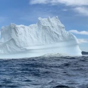 Koriass Instagram - En 2022 j’ai sorti un album, fait le tour du Québec pour faire ce que j’aime le plus au monde (manger dans des cantines) et j’suis allé voir des icebergs à Terre-Neuve. Je vous souhaite une merveilleuse année 2023.