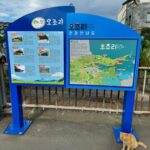Kwon Yu-ri