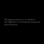 Lachlan Watson
