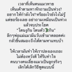 Lanlalin Tejasa Weckx Instagram - ไม่แรงมานานแล้ว ขอสักทีเถอะ
พูดไม่คิด ก็หัดคิดไว้เลย ถ้าคิดได้แค่นี้ ก็ไม่ต้องพูด คิดพอ
#ทาสแมว #แมวหาย #แม่แมว