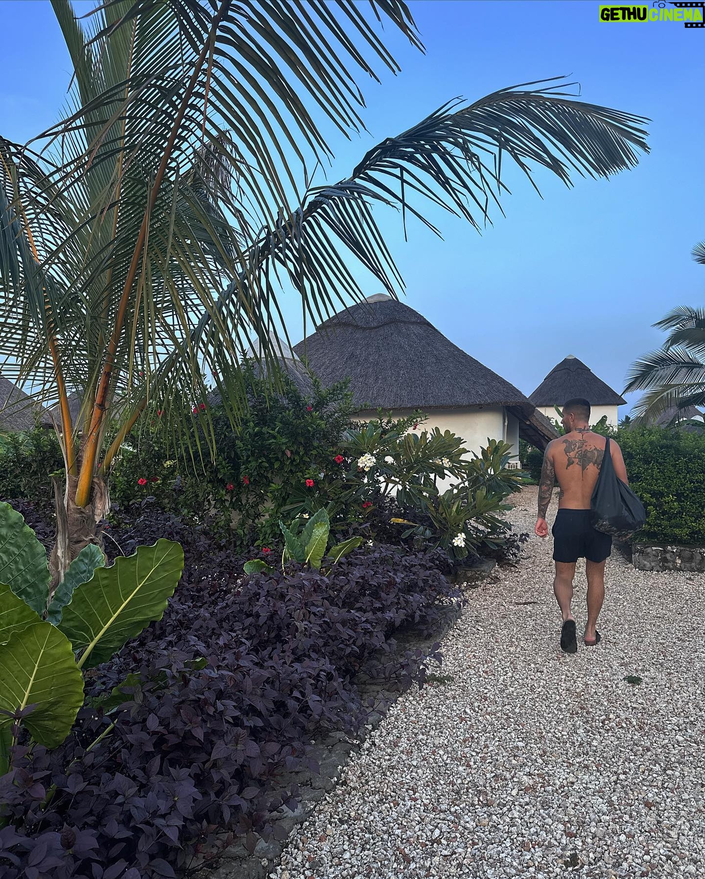 Laura Chrebetová - 28K Likes - Zanzibar photo dump 🌴
Prvých pár dni nám trvalo, kým sme sa zabývali a celkovo zvykli si či už na jedlo, vlhko a teplo a dospali dlhý let, ale dlho mám to netrvalo. Na dobré sa ľahko zvyká 🫢 zistili sme že tu v obchodoch nekúpite ani 50% toho, na čo sme my zvyknutí ako na samozrejmosť. Ovocie, ktoré sme si kúpili od miestneho chlapca (2 mangá, ananás, a zväzok banánov 4€) bolo také sladké, že take v živote v obchode nekúpite nech je bio aké chce🥭. Prvé noci som mala schyzy zo slamených striech a hovorila som si, že tade môže preliezť kadejaká háveď ALE prežili sme a jedine, s čím sme sa stretli sú malé pavučiky a jašteričky 😅 som zvedavá čo prinesú nasledujúce dni ☀️ A vám všetkým, ktorí ste tu boli alebo tu bývate, ďakujeme za rôzny rady a triky postupne to všetko čítame 🫶🏻
#vacay#honeymoon#zanzibar