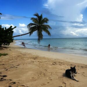 Laura Gómez Instagram - As far as beauty goes, my island is absolutely stunning and Las Terrenas is Heaven on earth ☀️

A few recommendations if you're ever around:
Playa Cosón, Portillo & Las Ballenas. If you're into surfing, Playa Bonita. Wear sunscreen and bring some mosquito repellent (you might need it). As for food, here are 3 places we thoroughly enjoyed: @elcayucolasterrenas @ostiagastrobar @le_tre_caravelle_lt 

And for events and pretty good music, make sure to follow my buddy @itslozanomusic & @so.onthemove... they host a hell of a beach party!🏝️ Ps: had a lovely stay at the boutique hotel @empyreantropicalwellness 
•
•
Un secreto a voces que conocemos los dominicanos, es que Las Terrenas es un verdadero Edén (con una ligera dosis de pecado -y pescado- para quien así lo quiera 😉)

Si vienen por acá les recomiendo los siguientes lugares para comer:
@ostiagastrobar @le_tre_caravelle_lt y @elcayucolasterrenas (mención especial a Augusto por tratarnos tan bien y guardarnos pescado fresco 🐟)

Y para una exquisita experiencia musical sigan a mi pana @itslozanomusic, y a @so.onthemove para estar al tanto de experiencias playeras. Además, tuvimos una estancia muy agradable en el Hotel Boutique @empyreantropicalwellness (Gracias por la conexión y una estupenda fiesta @itslozanomusic @so.onthemove @olallard y gracias @denisequinones9 por acompañarme y esa linda foto de portada) 😎