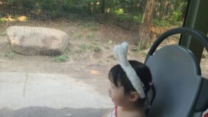 Lee Jung-hyun Instagram - 이 더운날..사파리왔어요...🫠 #유치원방학 ...😵