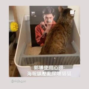 Leo Wang Instagram - 1 大嘻哈時代，節目即將大功告成，非常謝謝節目工作人員、選手，和各位觀眾。我真的很榮幸。
節目的結果有時真的是沒想到，跟一開始想的都不一樣！

這張照片是kitty拍的，蹲在兩位阿哥身後我也很榮幸，其實很溫馨跟感動。

2 ？
3 2021大港開唱 感謝團員 高飛 UG 權哲 明諺 增譯 we had a good time 影片有留下來在youtube 我心已滿足
4 挖砂貓砂 Wassup.com.tw
5 恭喜摯友鱷魚預祝中獎

@mtvtherappers @gima_arf @wassupcatlitter @lasachunyan