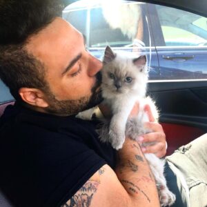 Leo Yılmaz Instagram - My baby boy Mochi #mybaby #persiancat #bonbon #kedi #leoyilmaz