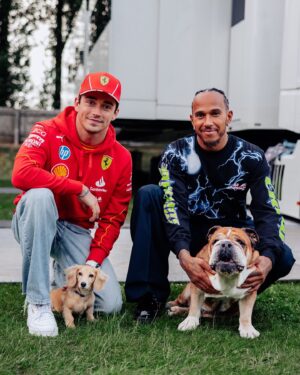 Lewis Hamilton Instagram - Dog dads
