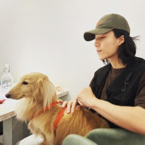 Lin Yu Instagram - -
🌧️：大家都說我們兩個長很像

🐶：我比較可愛吧～

#吃飯巧遇同類
#如果你有這樣的狗狗
#你幾點回家